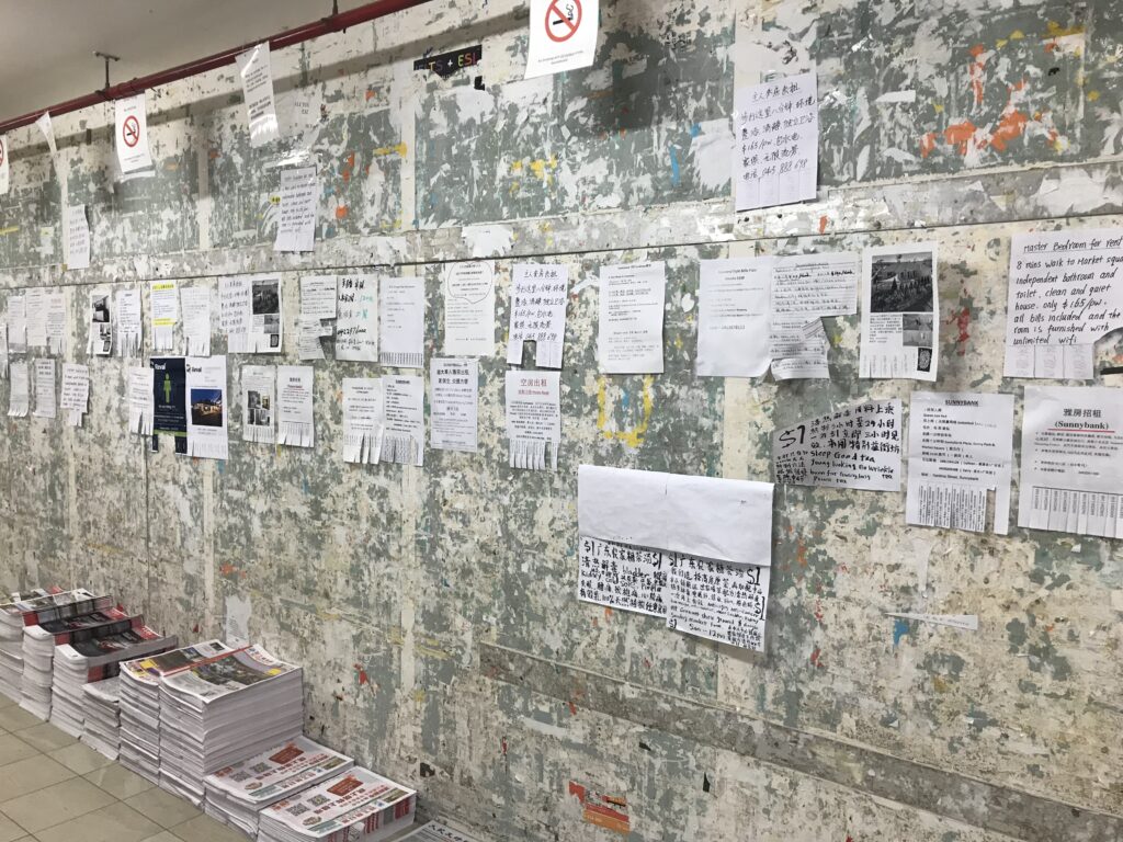 Sunnybank墙侧面视角，两排传单在肩头高度，墙面刚清理过