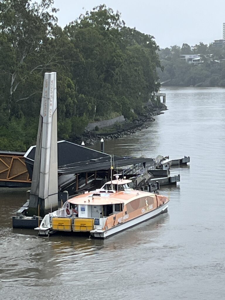 从绿桥步行道回望昆士兰大学方向，右下方UQ渡轮码头停泊着宾果号城市狗渡轮。这艘CityCat被涂装成Bluey动画片中的宾果形象，像在河边玩躲猫猫。