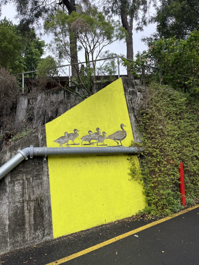 昆士兰大学校园内灰色混凝土挡土墙，墙顶有树木生长。墙面一半被漆成黄色四边形，顺应地面坡度。黄色区域内画着一只母鸭带领五只小鸭，沿着墙面上一根金属水管行走，仿佛水管就是地面。