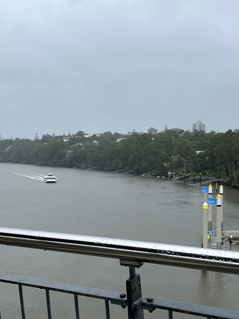 从绿桥栏杆向下看布里斯班河，前景是金属栏杆把手。河面呈灰绿色，一艘CityCat渡轮正驶向UQ码头靠岸。细雨中的河景柔和朦胧。