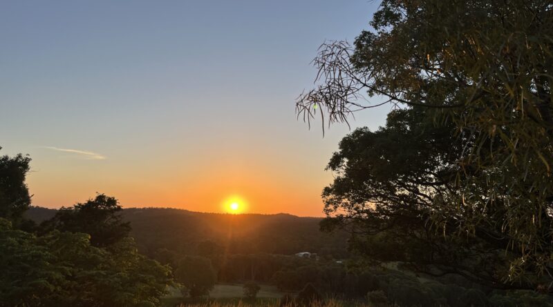 Mount Cotton日落打卡点，金色圆日于山脊线，橙光环绕，前景高草金尖，旧木栅栏，远处山丘