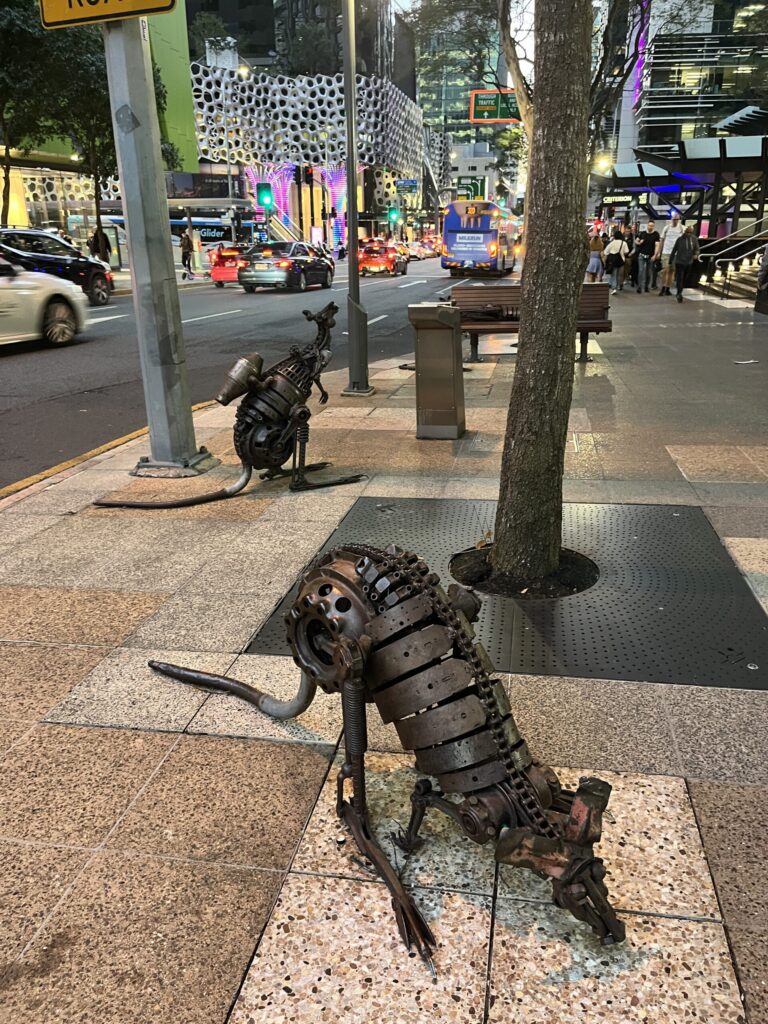 布里斯班乔治街傍晚，一群袋鼠雕塑，前景觅食袋鼠，后方火箭袋鼠与长椅躺卧袋鼠，饮水台后隐藏第四只