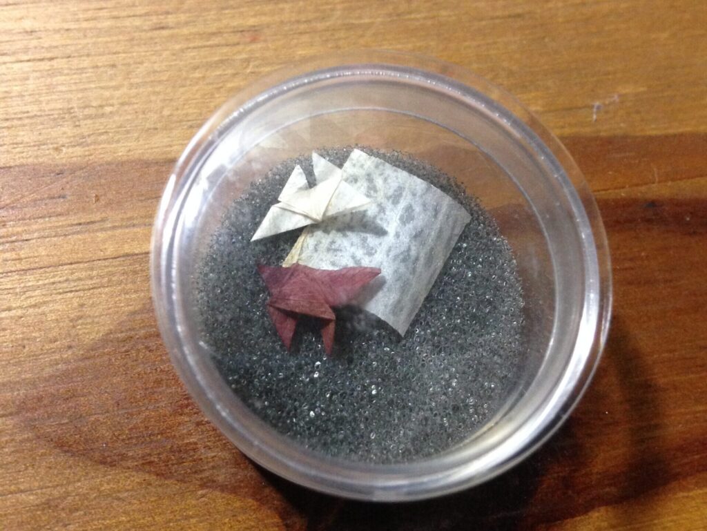 木质桌面圆形塑料盒，灰色泡沫底座，两只干花花瓣折成的小蝴蝶，一白一红棕