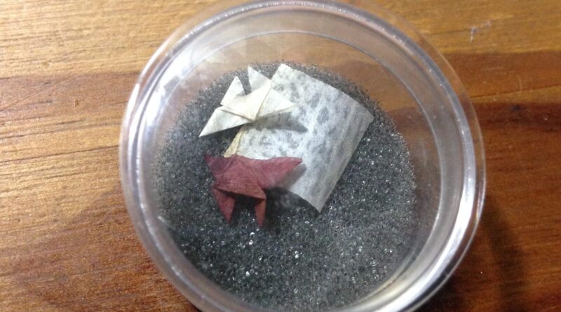 木质桌面圆形塑料盒，灰色泡沫底座，两只干花花瓣折成的小蝴蝶，一白一红棕