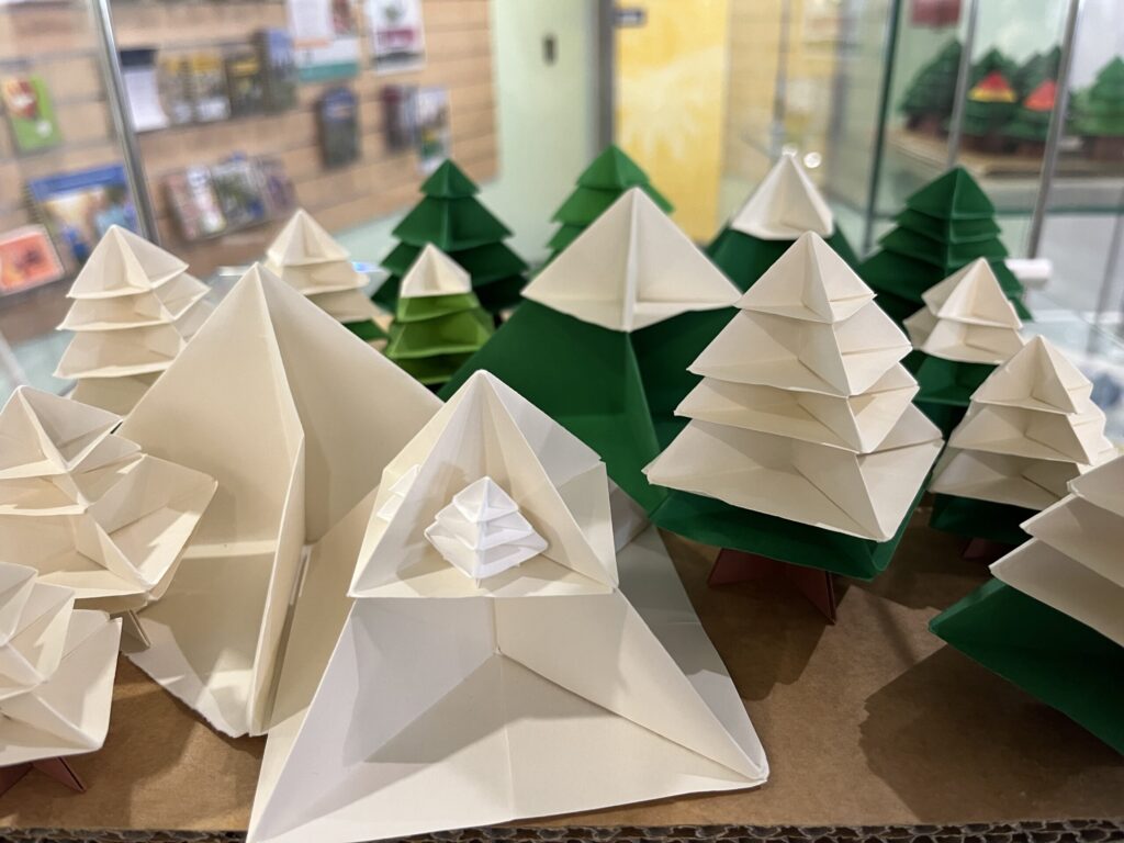 折纸雪森林展览，白绿纸树，部分全白部分半白，棕色纸板地面，玻璃展柜内