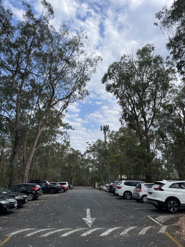 格里菲斯大学内森校区停车场，两侧停满车，车后高大树木，蓝天白云