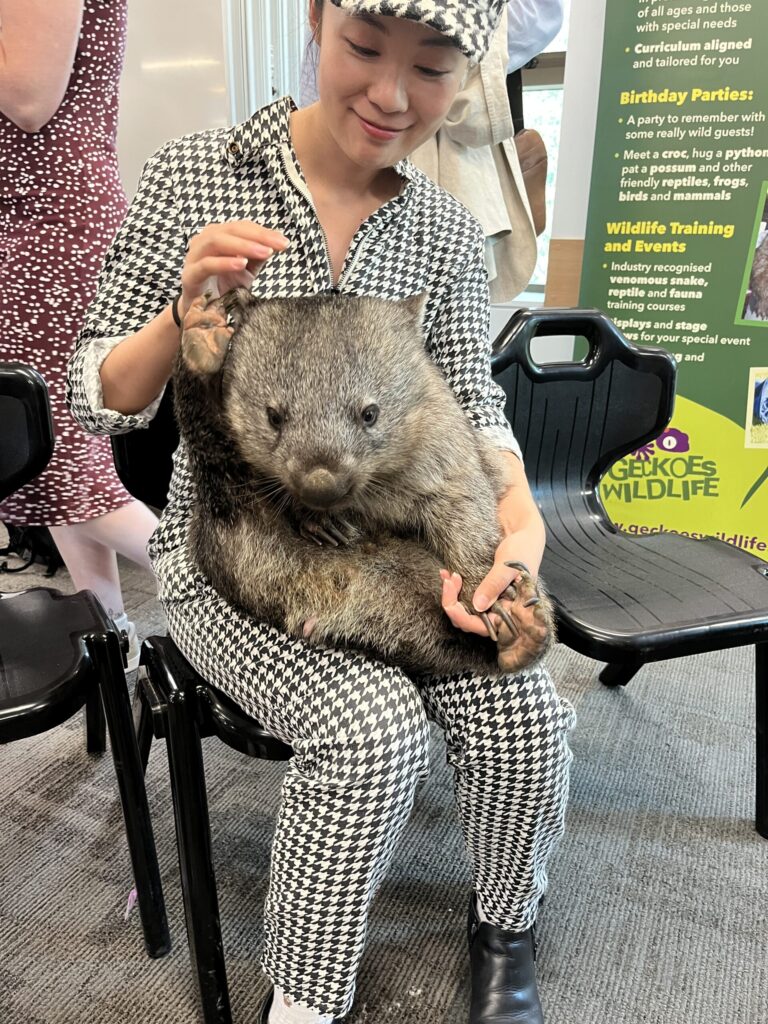 格里菲斯大学校园，中国女孩微笑抱着袋熊，袋熊挠头，香奈儿风格外套