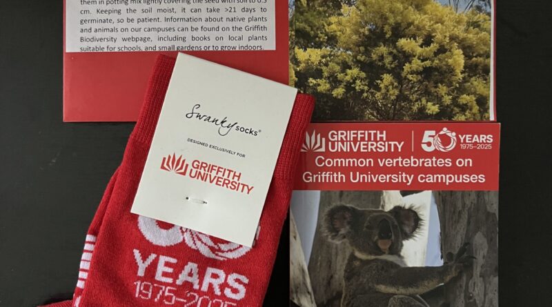 黑色桌面，红色金合欢种子包，GU红白袜子，脊椎动物指南手册封面考拉