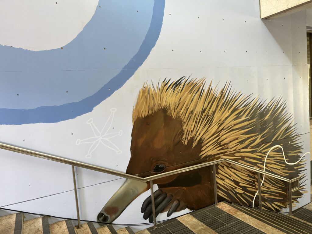 格里菲斯大学内森校区户外楼梯，白色蓝色墙面，针鼹壁画向上行走，不锈钢扶手