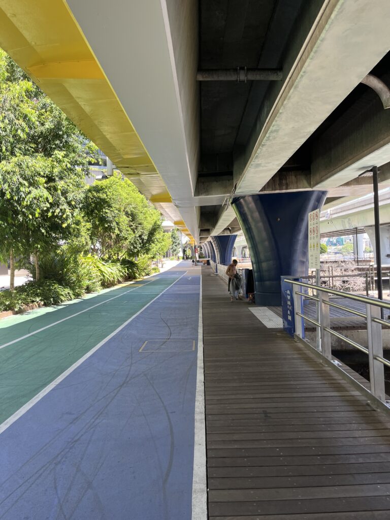 蓝道步道直行，高速桥覆盖，远处有人站立