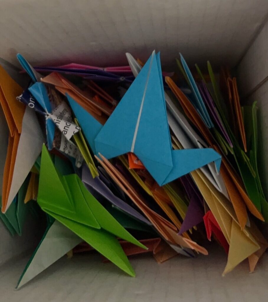 纸箱内装满彩色折纸鹤，中央一只亮蓝色纸鹤