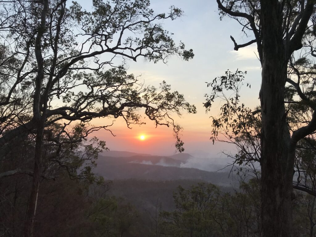 黄金海岸腹地拉明顿国家公园，红日即将落山，山谷飘起丛林火烟，两侧树木剪影，蓝天空云