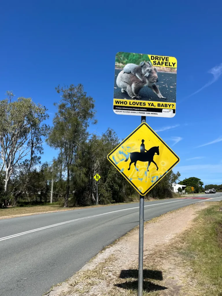 布里斯班 bushland 弯道，路边黄黑马匹共享路牌，上方「Drive Safely」考拉抱幼崽，文字「who loves ya, Baby?」