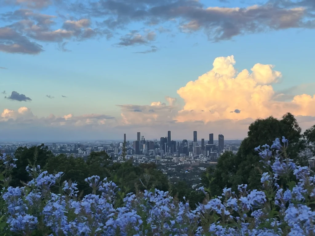 库萨山顶，近景紫蓝花丛，中景树冠，CBD远景，白色与灰色云层