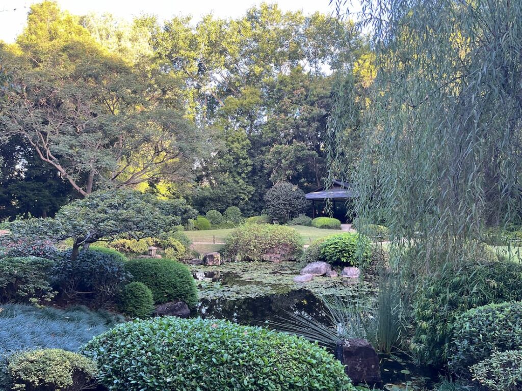 日本花园池塘边，木塔或亭子，圆形灌木，多种绿色