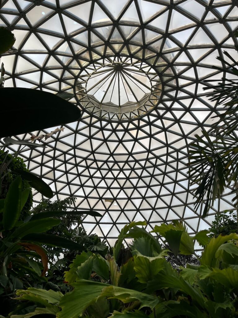 热带雨林温室穹顶中心，几何图案汇聚，前景树冠