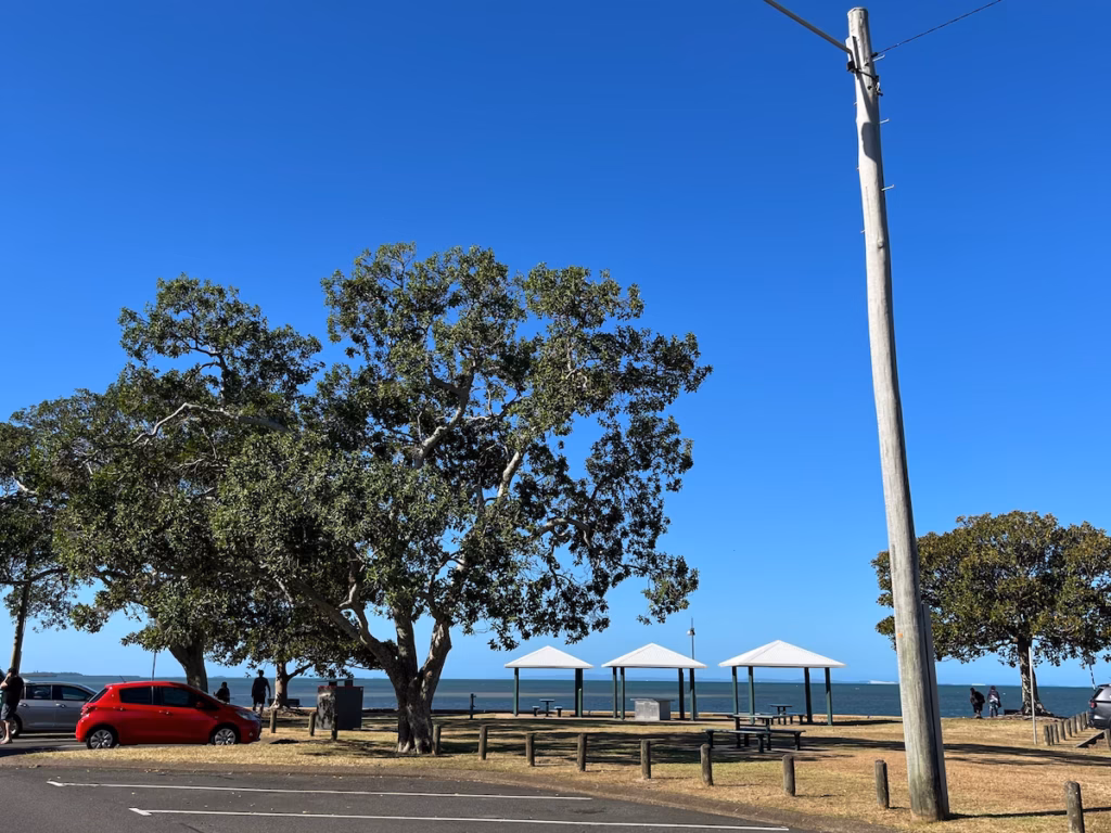 威灵顿角 recreation reserve 停车场远景，三座金属棚，烧烤区桌椅，草地，遮荫绿树，蓝天