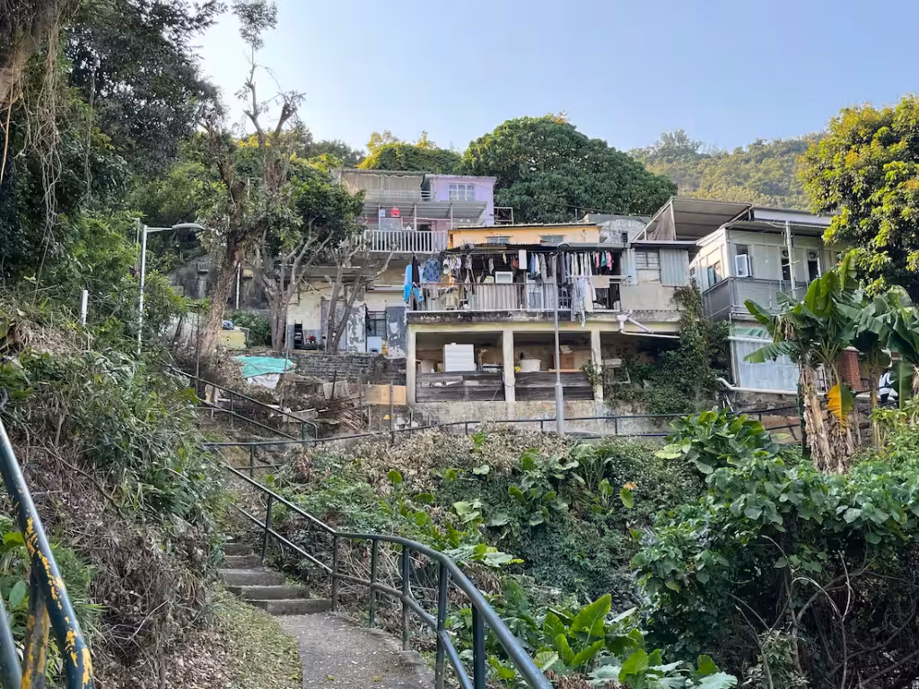 香港山坡阶梯，通往山顶旧村屋，石阶两侧绿植，民居台阶