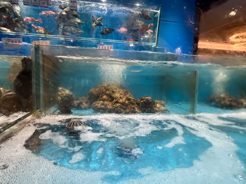 香港海鲜餐厅活海鲜池，前方拖鞋龙虾在蓝光下呈紫色 |
